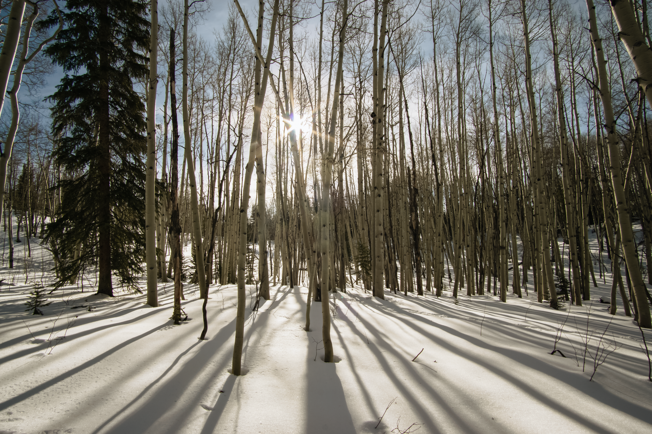 New Patients Welcome!