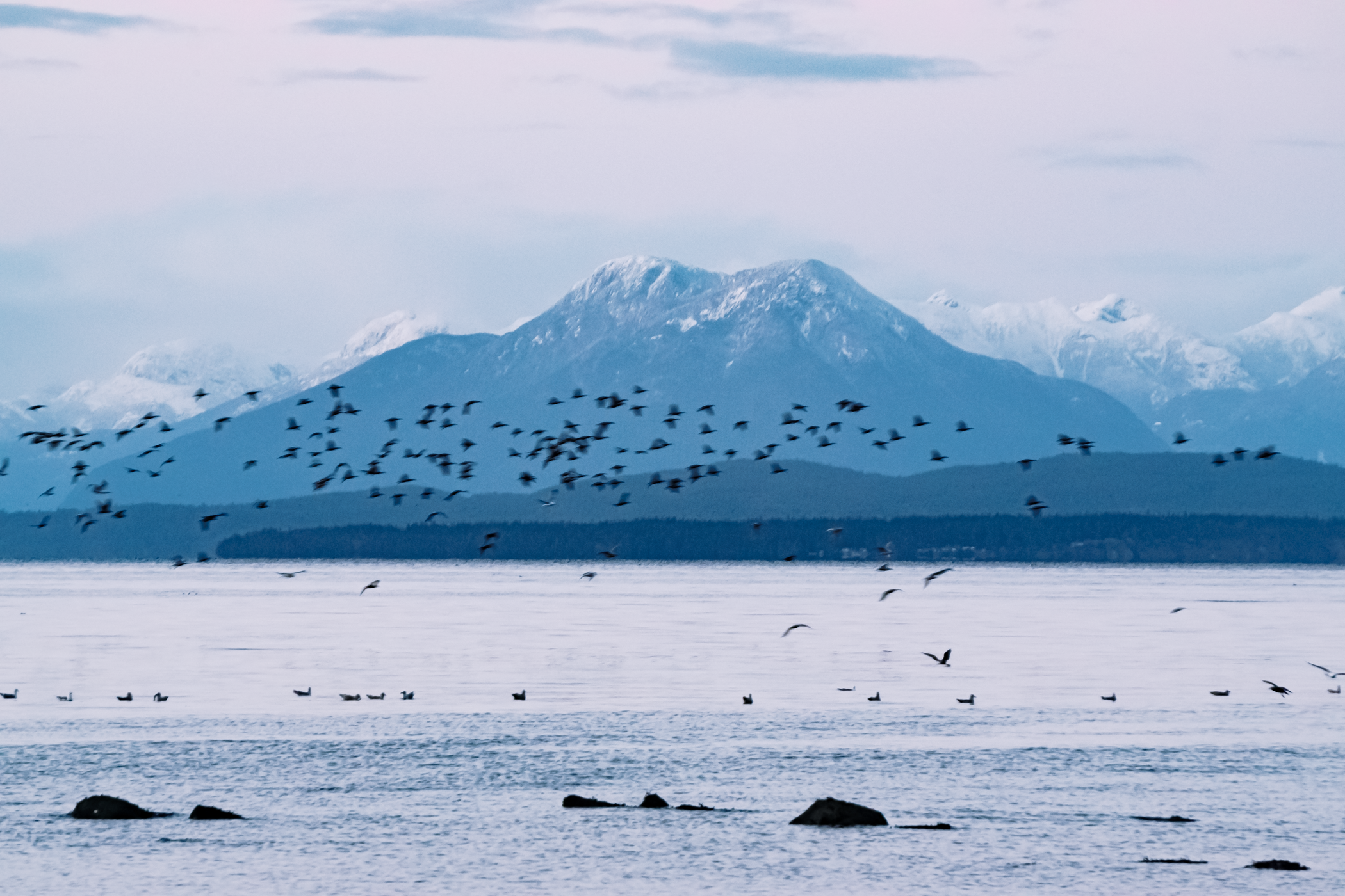 New Patients Welcome!