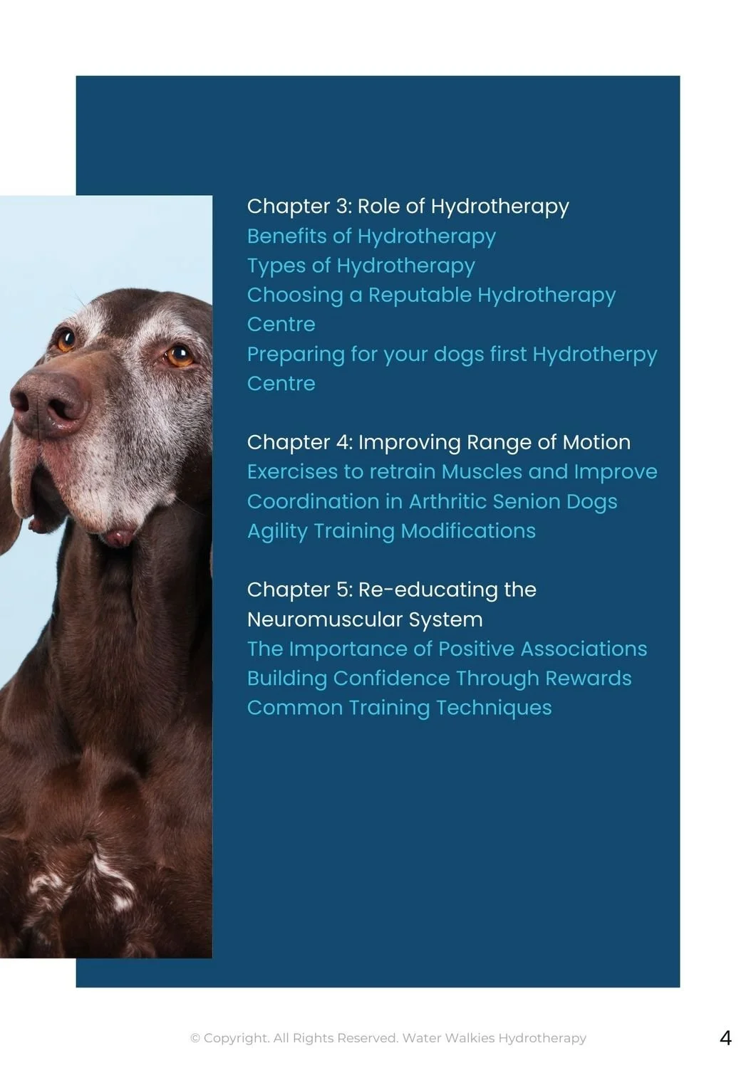 Seniors and Arthritis Management.2.jpg