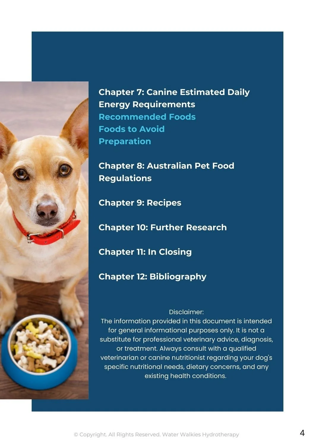 Insights on Canine Nutrition and Weight Management.2.jpg