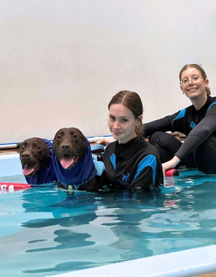 Two Water Walkies Staff and two labradors posing for a picture in the hydrotherapy pool.