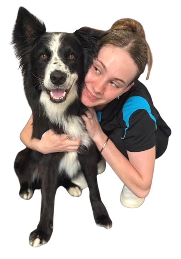 Water Walkies Miranda cuddling black and white border collie