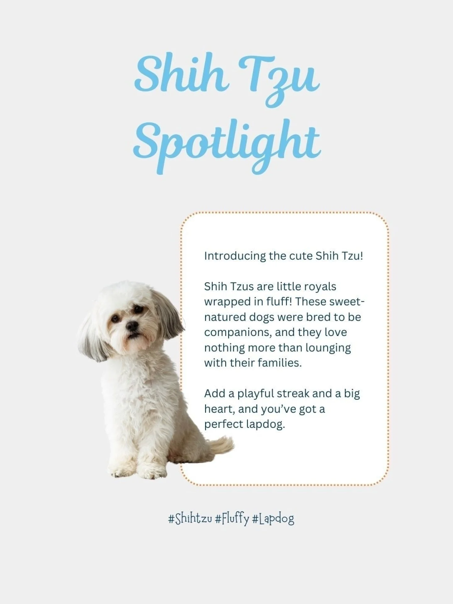 Shih Tzus are masters at hiding pain &mdash; are you noticing the signs?

Small dogs like Shih Tzus can mask joint pain or stiffness until it&rsquo;s advanced. By then, mobility is already compromised. Hydrotherapy builds strength and flexibility saf