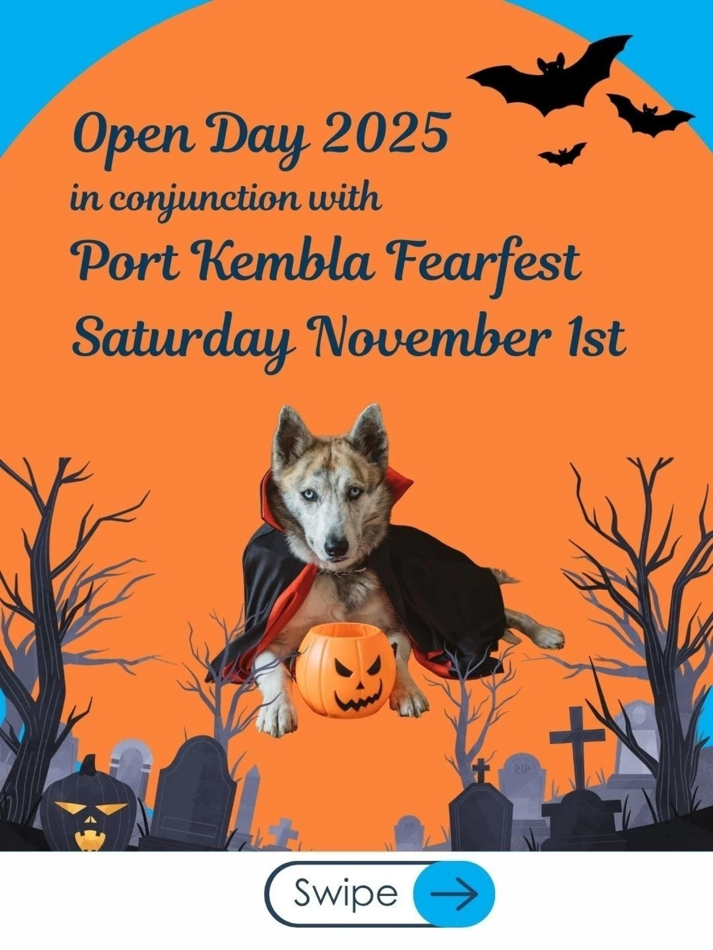 🐾 You&rsquo;re Invited! 🎉

Our Water Walkies Open Day is back &ndash; proudly run in conjunction with Port Kembla Fearfest! 👻🐶

Start your day with us at Water Walkies Hydrotherapy for all things dog fun:
🎭 Dog Costume Parade + Best Tricks Conte