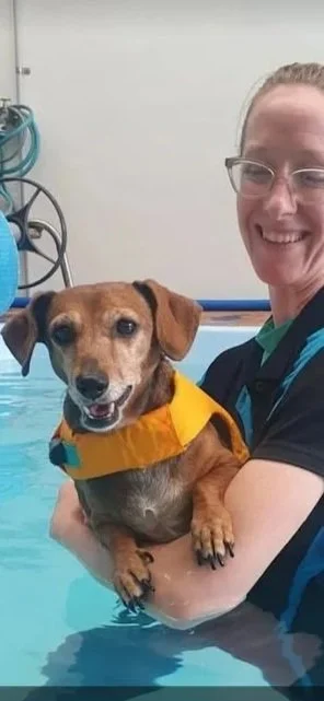 A woman holding a small brown dog in a water therapy pool at Water Walkies Hydrotherapy, smiling at the camera.