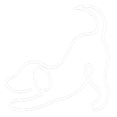 White line drawing of a dog in playing pose, head down and bum up ready to play.
