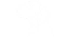 White line drawing of a dog in profile view