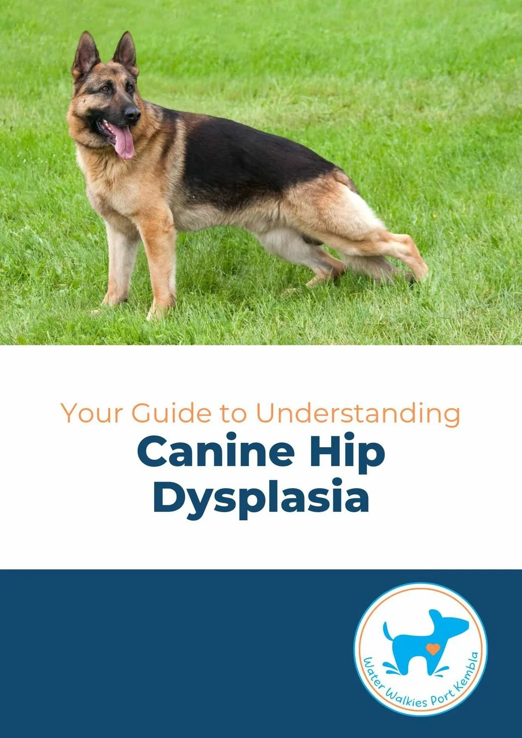 Your Guide to Understanding Canine Hip Dysplasia