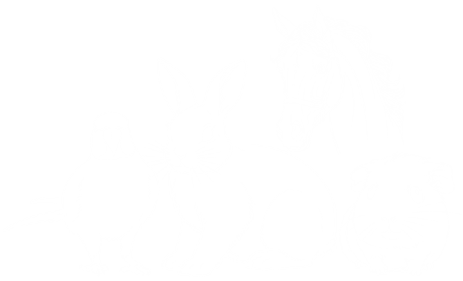 White line drawing of a parrot, rabbit, horse, and guinea pig on a transparent background.