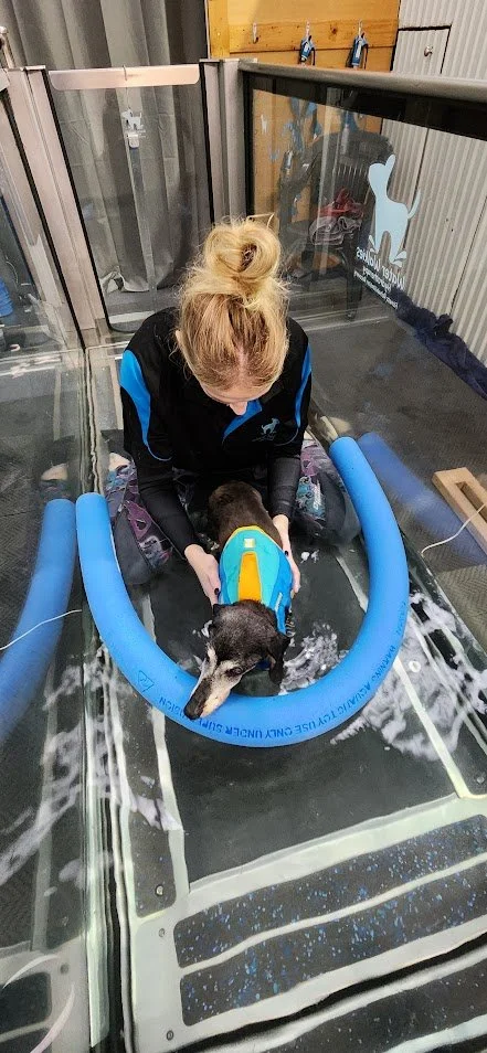 treadmill at water walkies staff assisting client
