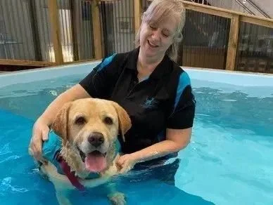 One half of Water Walkies Company Director and canine hydrotherapists and wellness coordinator