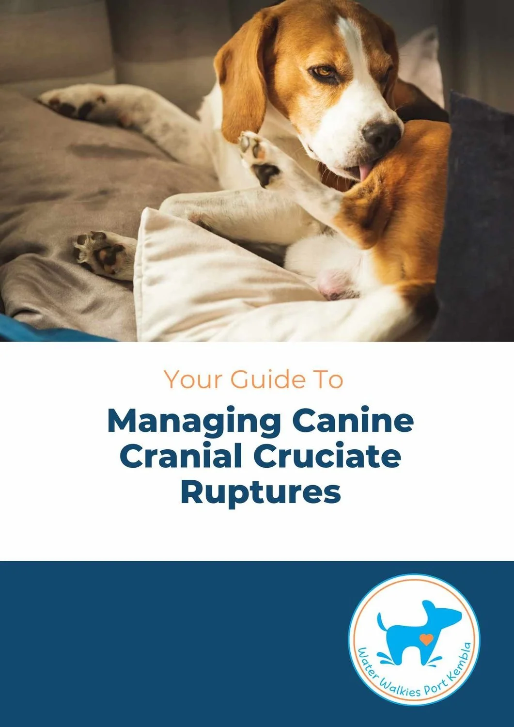 Your Guide To Managing Canine Cranial Cruciate Ruptures
