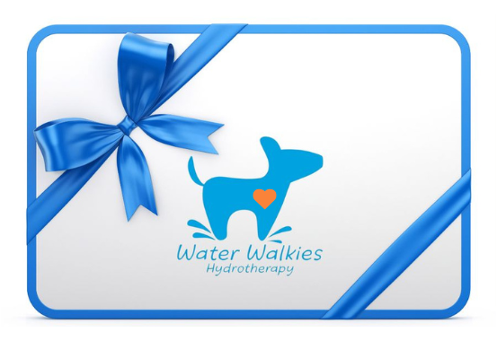 Water Walkies Gift Certificate