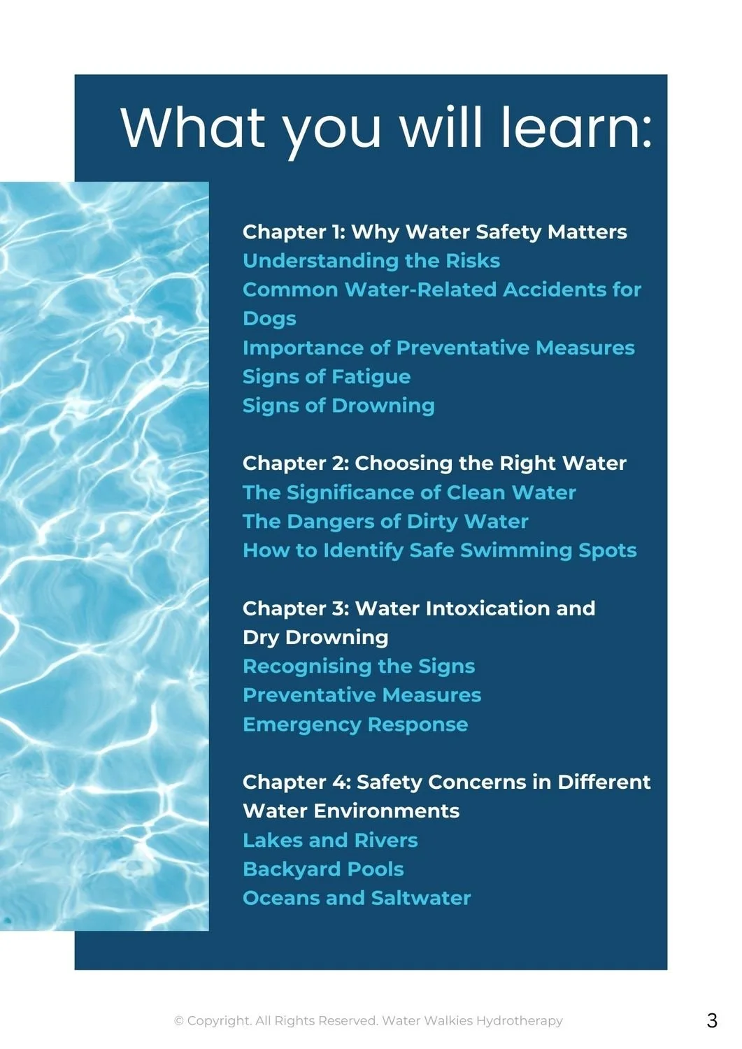 Dive in Safely A Guide to Water Safety for Dogs.1.jpg