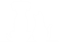 Silhouette of a dog and a cat sitting side by side against a black background.