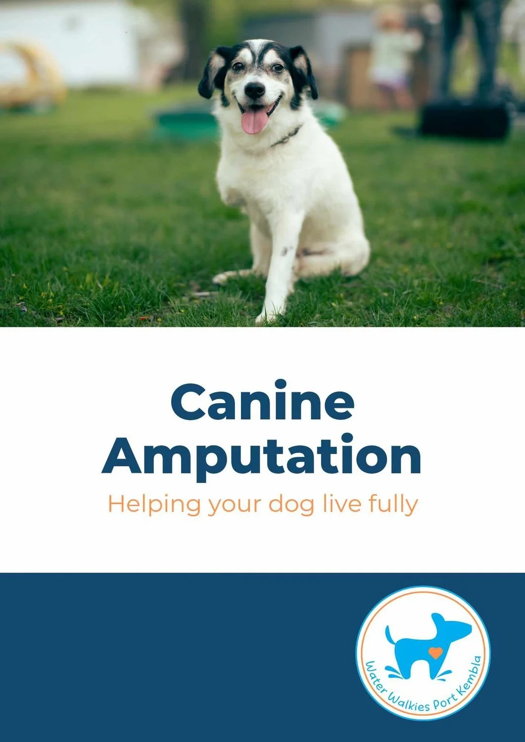 Canine Amputation – Helping Your Dog Live Fully