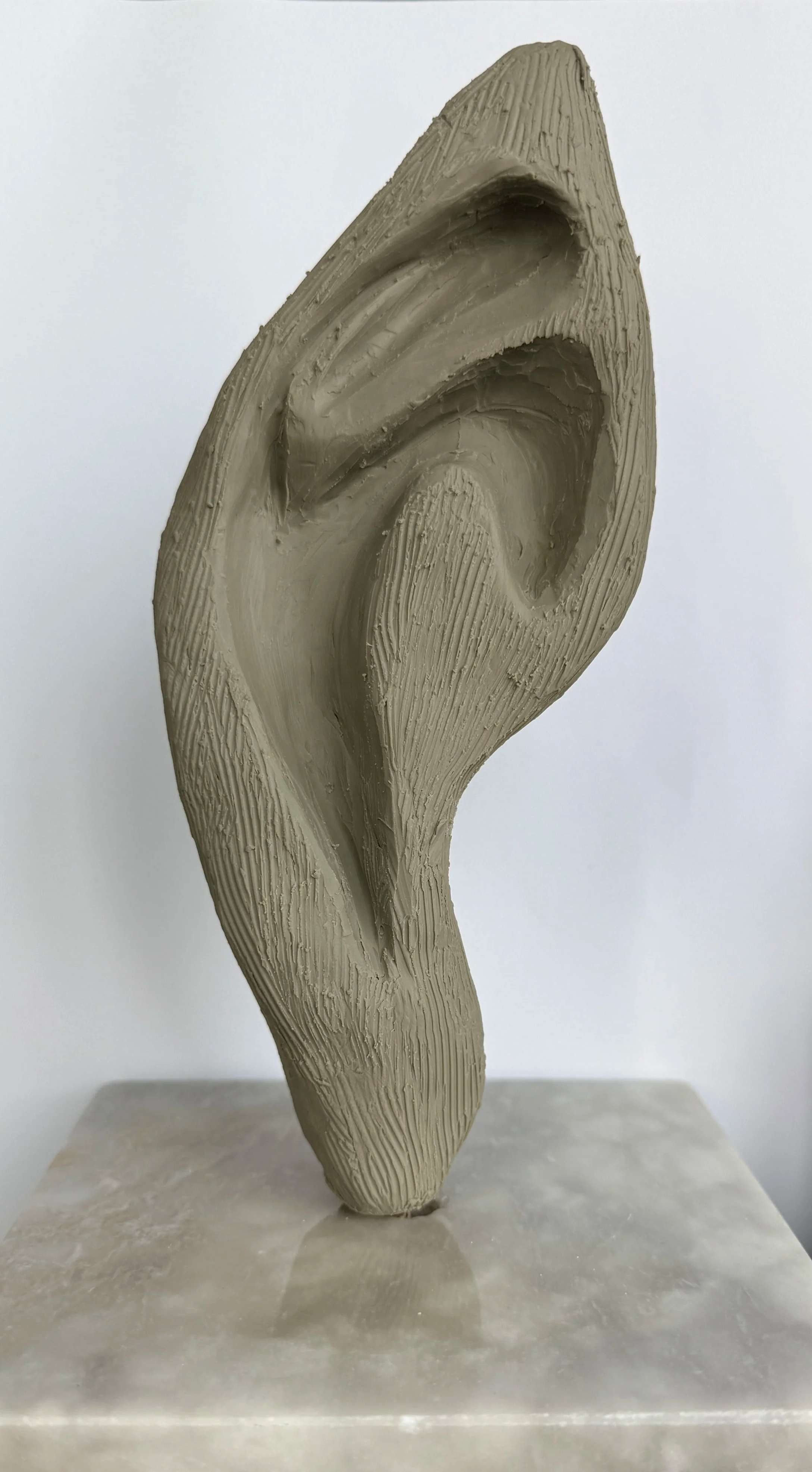 Clay Ear Study 1, 2026