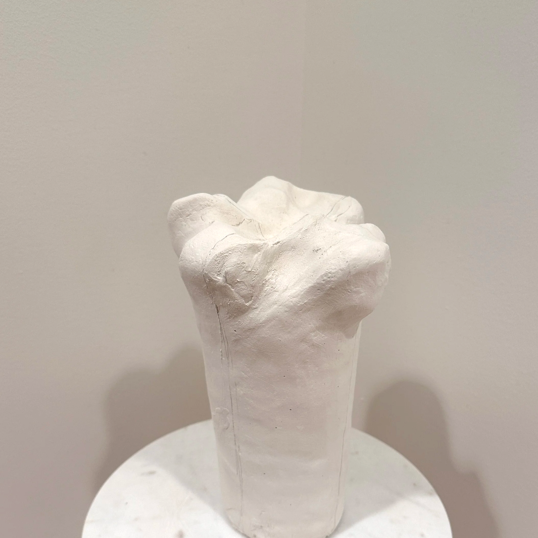 Plaster Molar Study 1