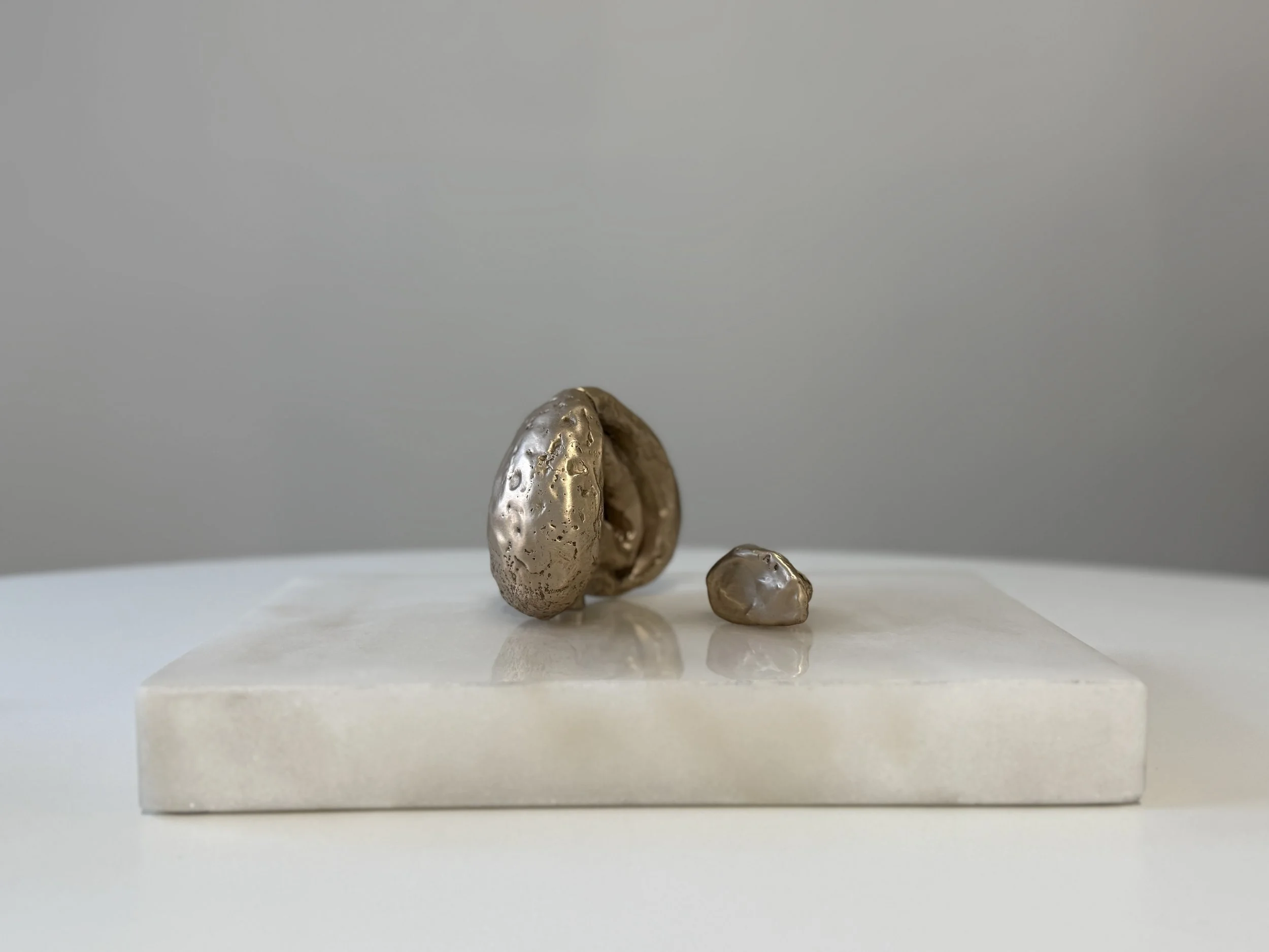 Huddle Cuddle, Helix and Concha