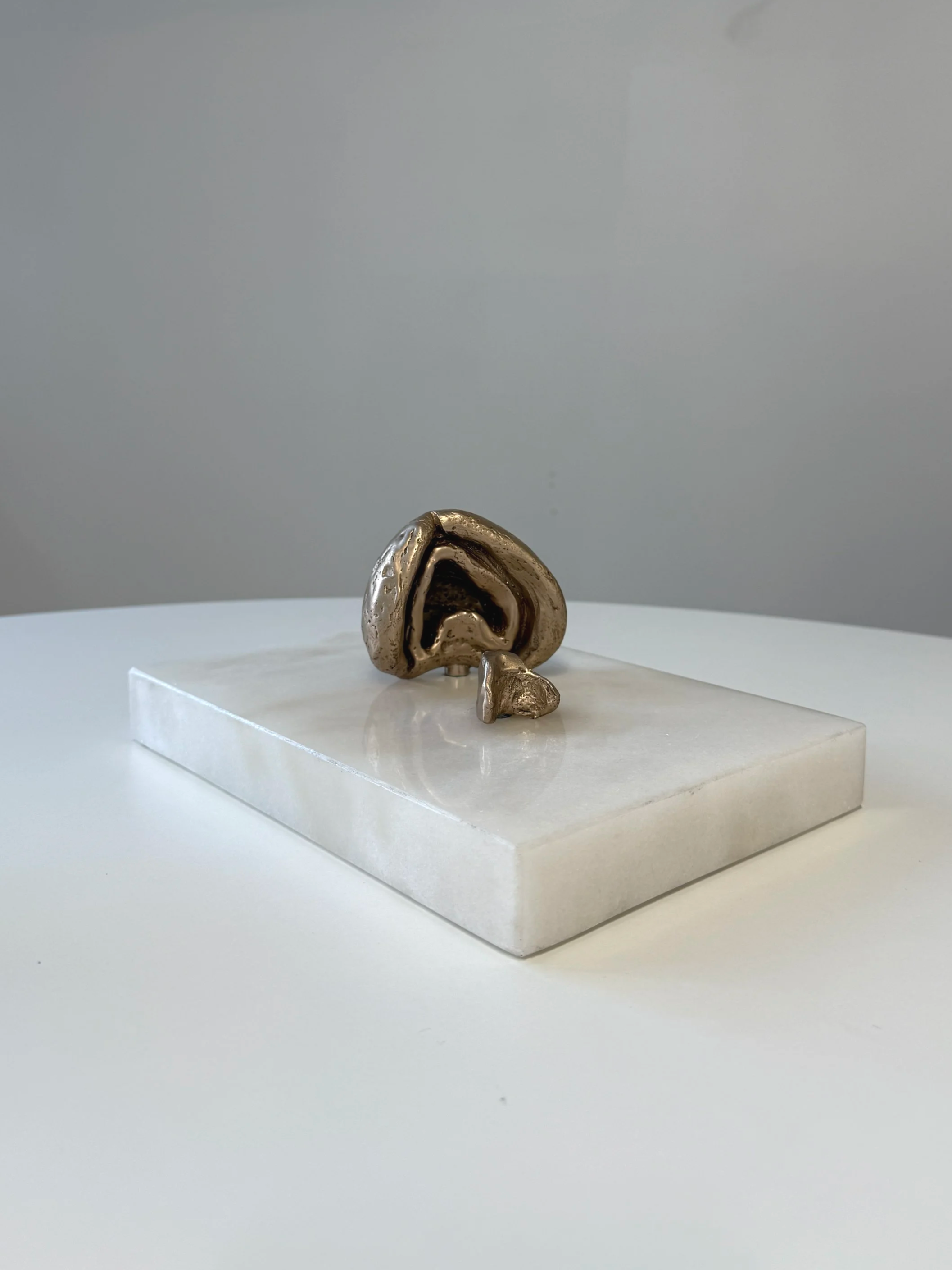 Huddle Cuddle, Helix & Concha