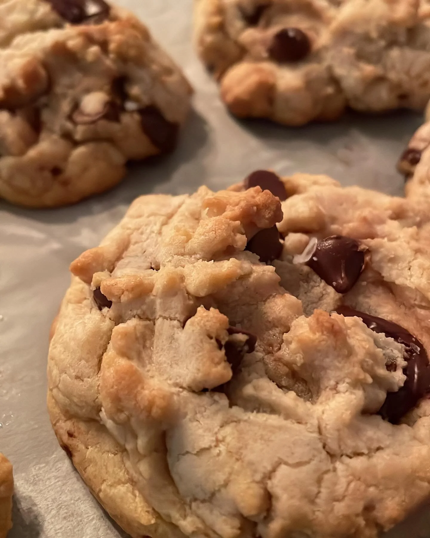 Spring is here!! We are looking for new markets and places to sell. See you soon with our new spring menu! What treats would you like to see this spring? #bakery#spring#baking#smallbusiness#businessowner#maryland#cookies#treats#brownies#cakes#cake#ba