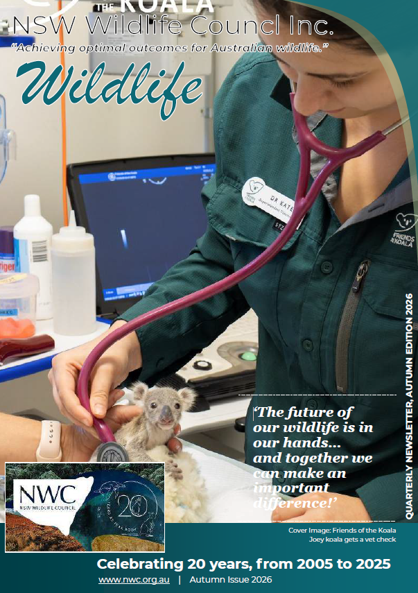 Wildlife Newsletter Autumn 2026