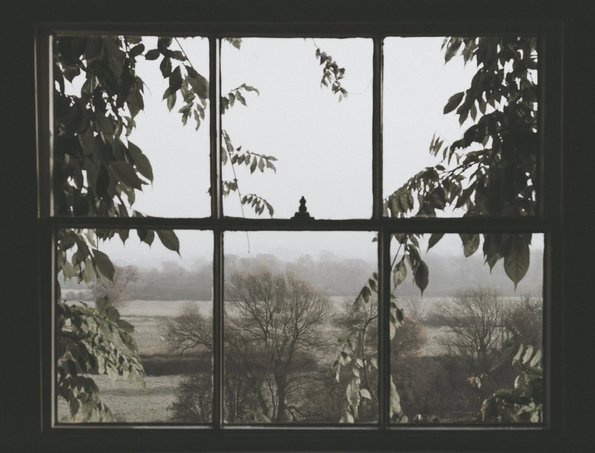 postpartum window