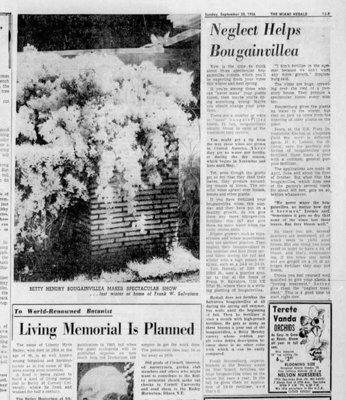 1956 Miami Herald article