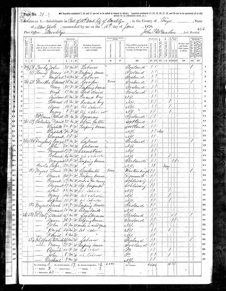 1870 United States Census, Robertson family
