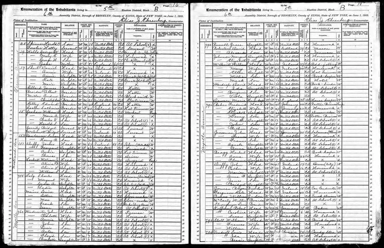 1905 New York State Census, David Robertson