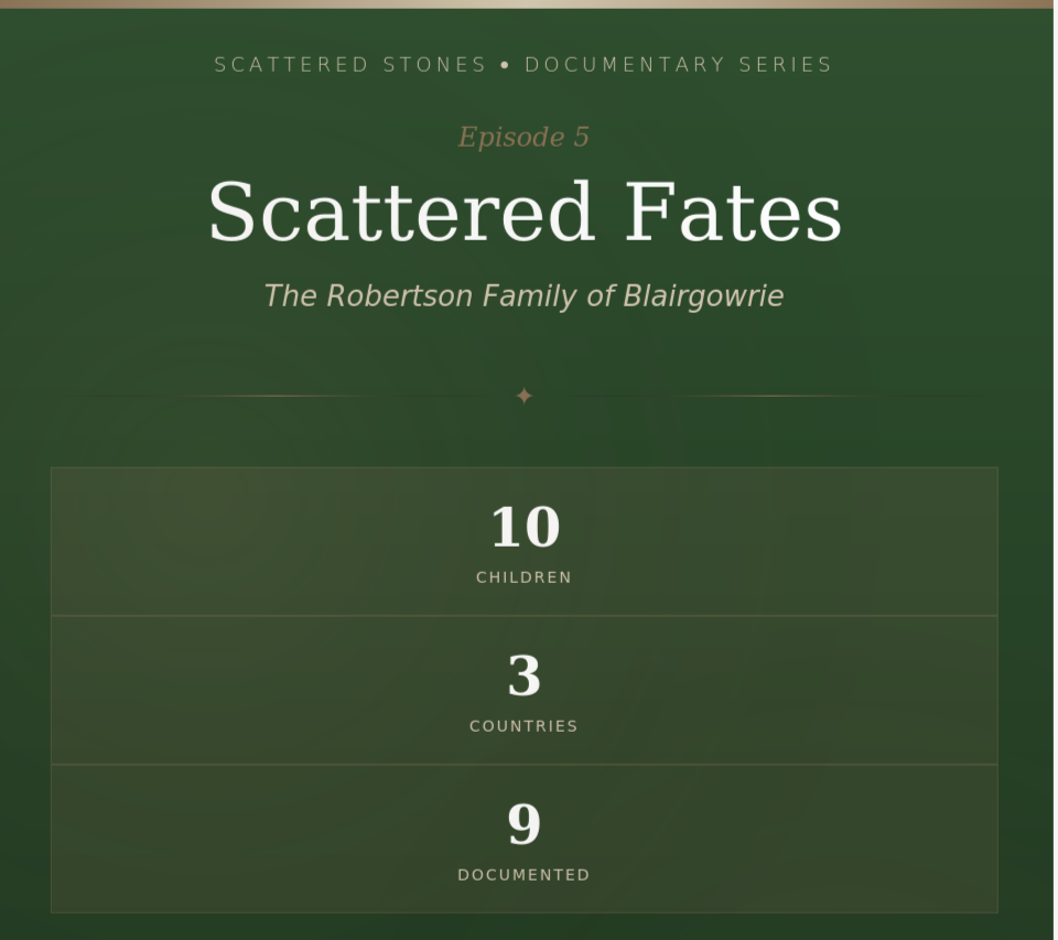 Scattered Stones : Scattered Fates