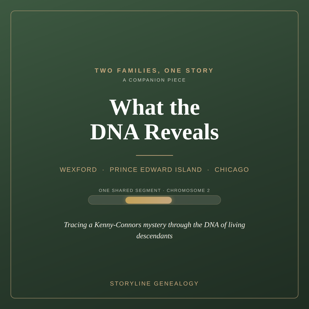Two Families, One Story: What the DNA Reveals