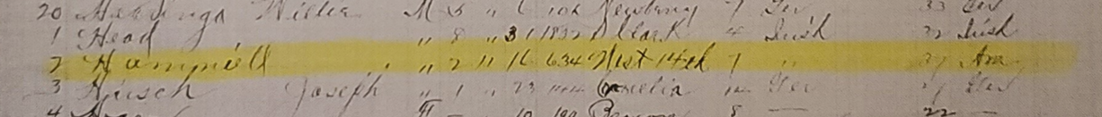 Close-up of William Hamniell birth entry, showing parents Owen Hamniell and Katharine Griffith, born January 16, 1883