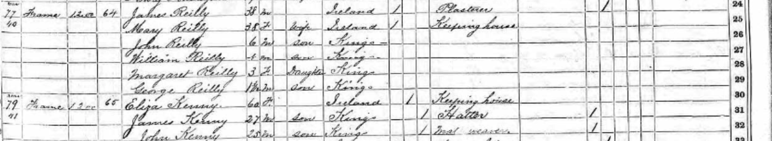1875 Census New York Kenny John mat weaver