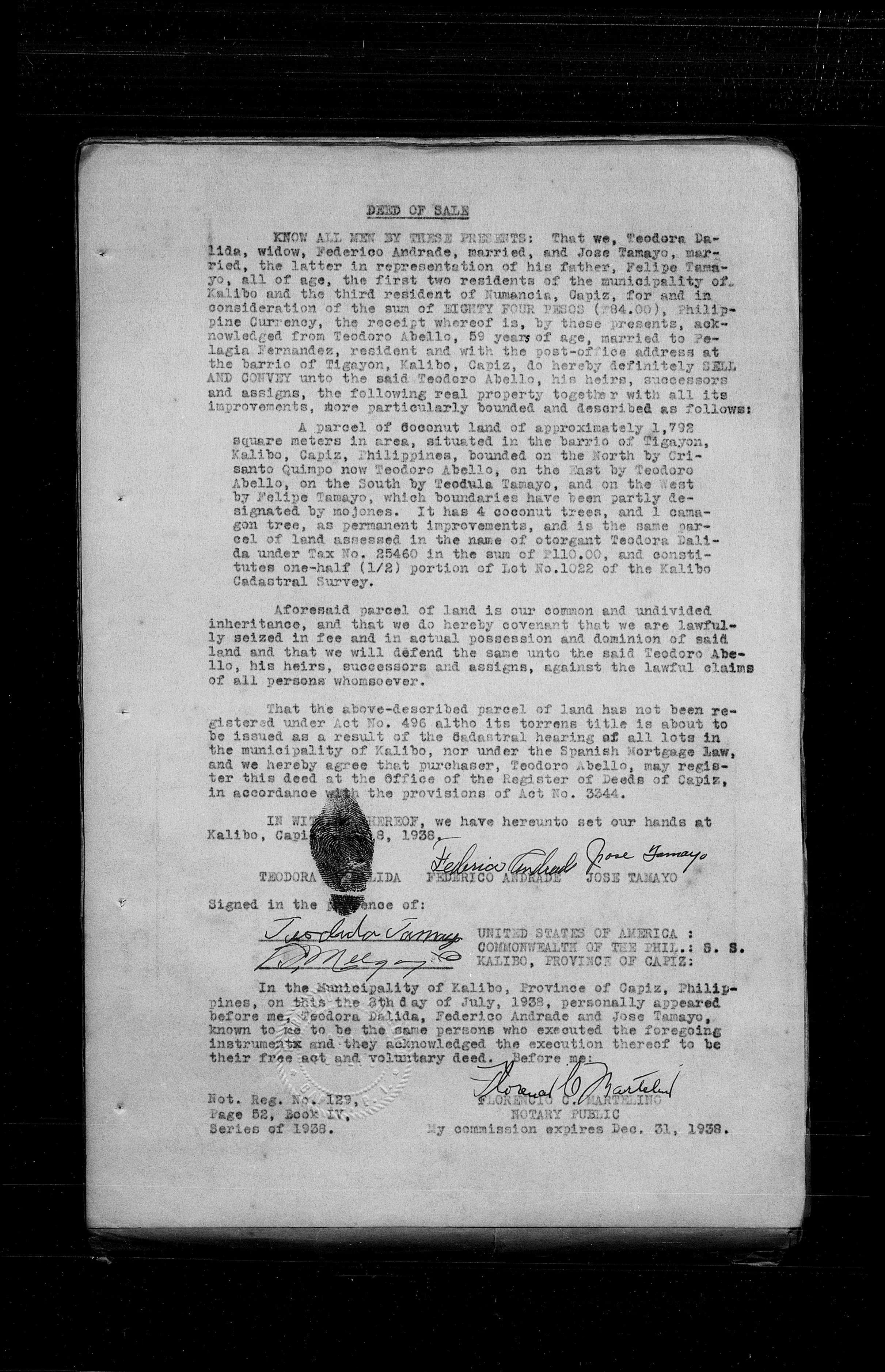 1938 Deed of Sale Coconut Land
July 8, 1938 - Documentation of Felipe Tamayo's death and the transfer of coconut land, establishing the foundation of the family's agricultural wealth