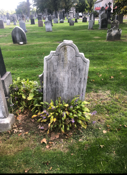 Find a Grave Photo of Kenney cemetery plot - Section PLOT Row 10 Plot 31 Graves 41' to...