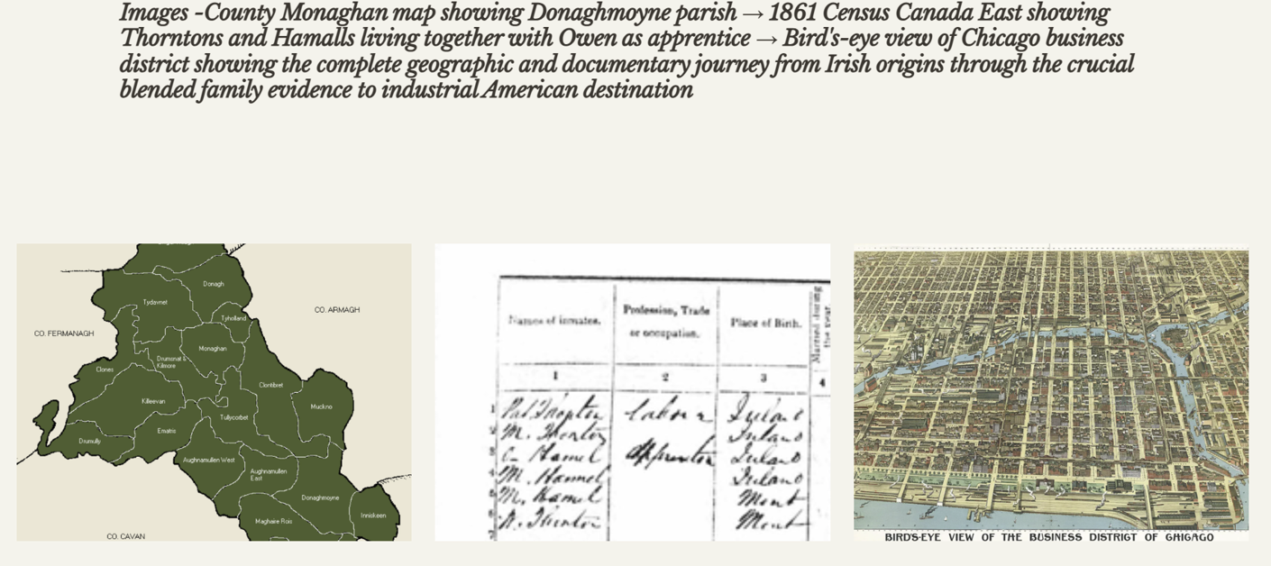 Three images: County Monaghan map showing Donaghmoyne parish, 1861 Census Canada East, and bird's-eye view of Chicago business district