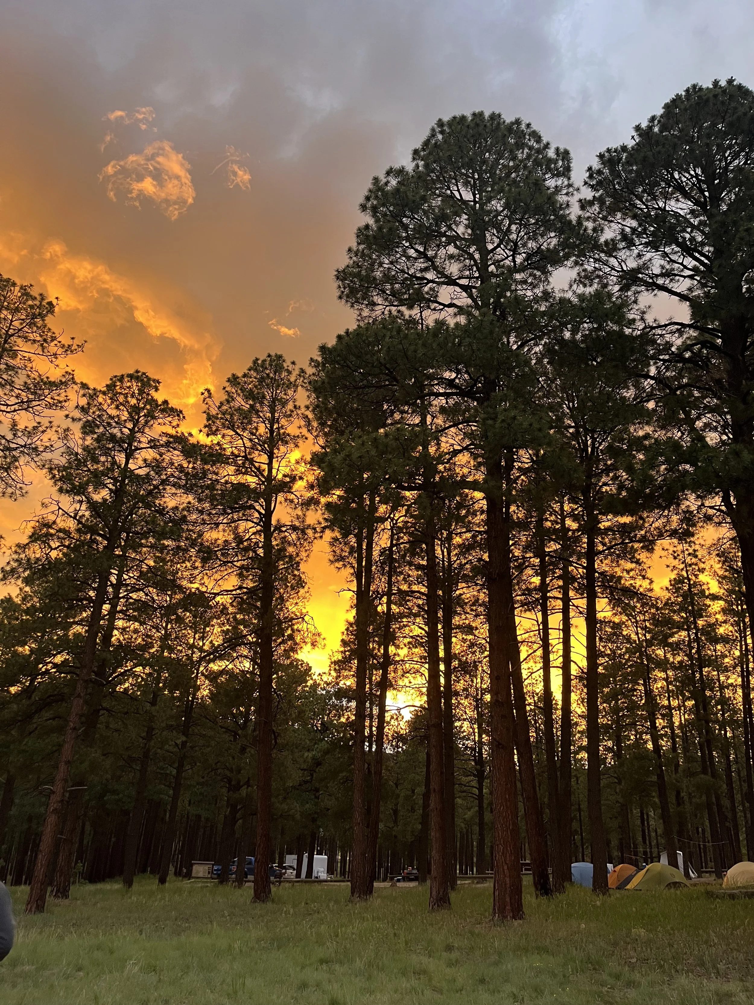 Sunset over a forested campground with tall pine trees and tents visible in the background. SAGE, Summer of Applied Geophysical Experience.