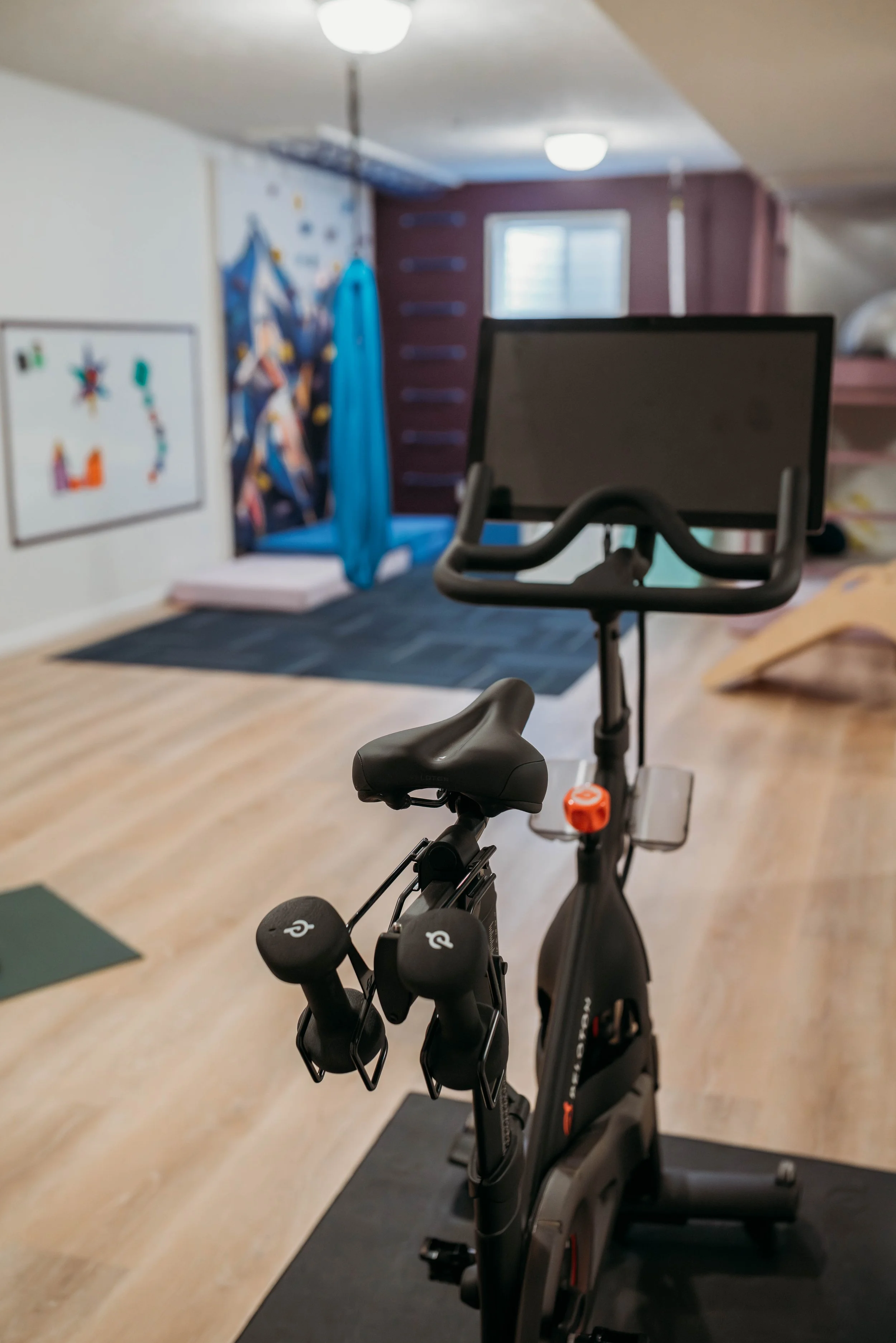 Indoor exercise room with an exercise bike in the foreground, a climbing wall with a blue fabric hanging, colorful artwork on the wall, a window, and a bed or mat in the background.
