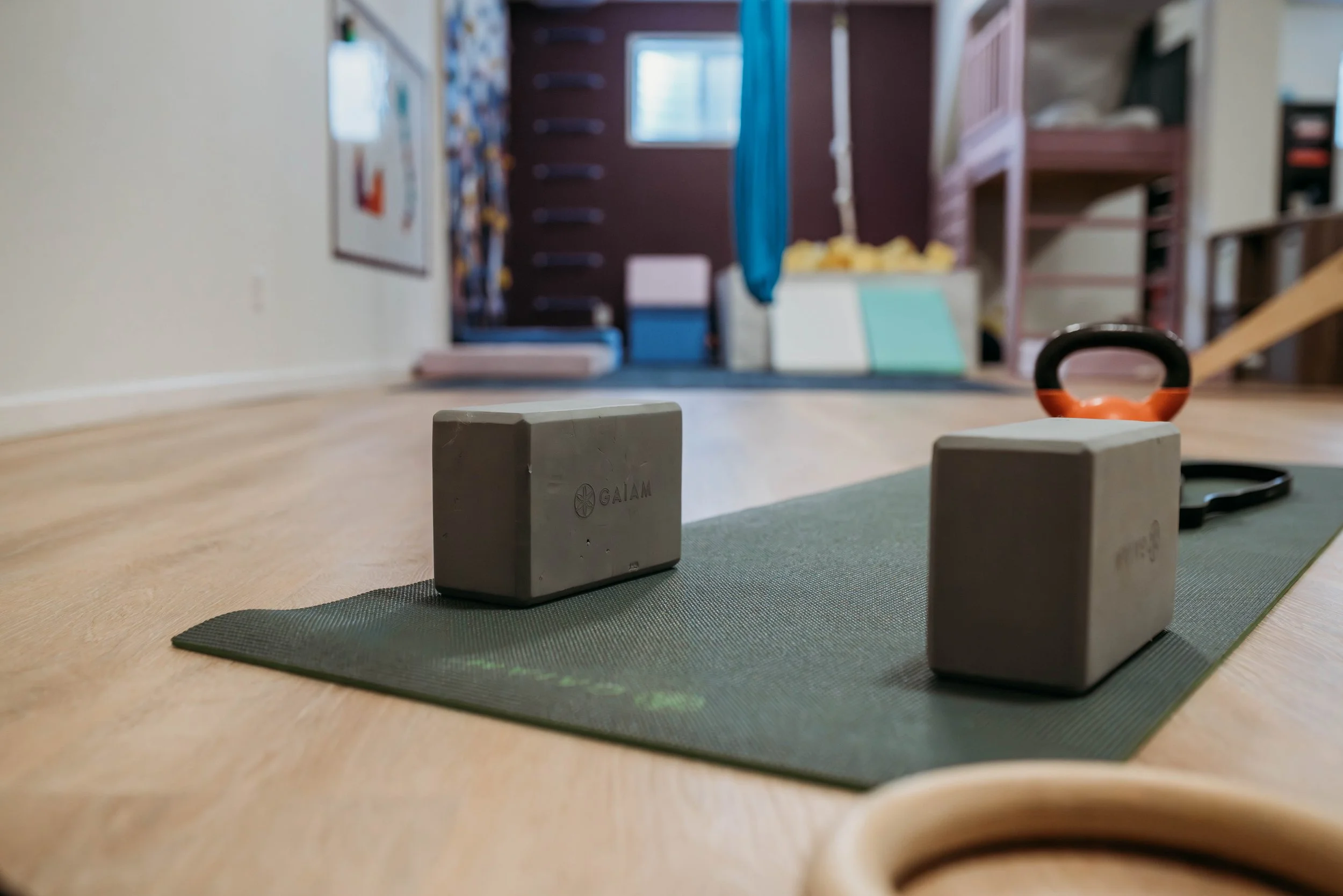 Indoor gym area with yoga mat, two dumbbells, a kettlebell, and gymnastic rings laid out on the floor.