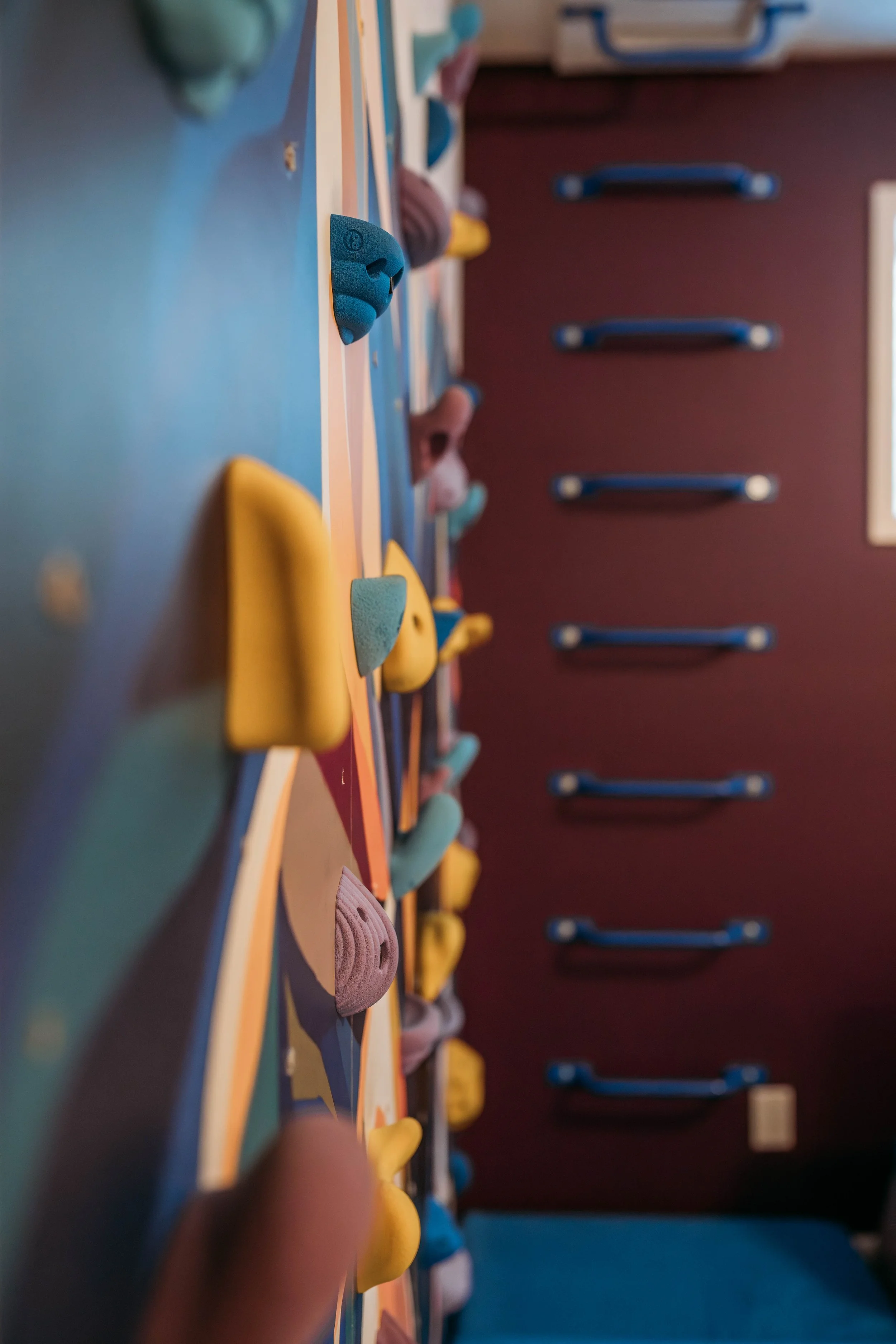 Close-up of colorful climbing holds on an indoor climbing wall, with a maroon wall with blue handles in the background.