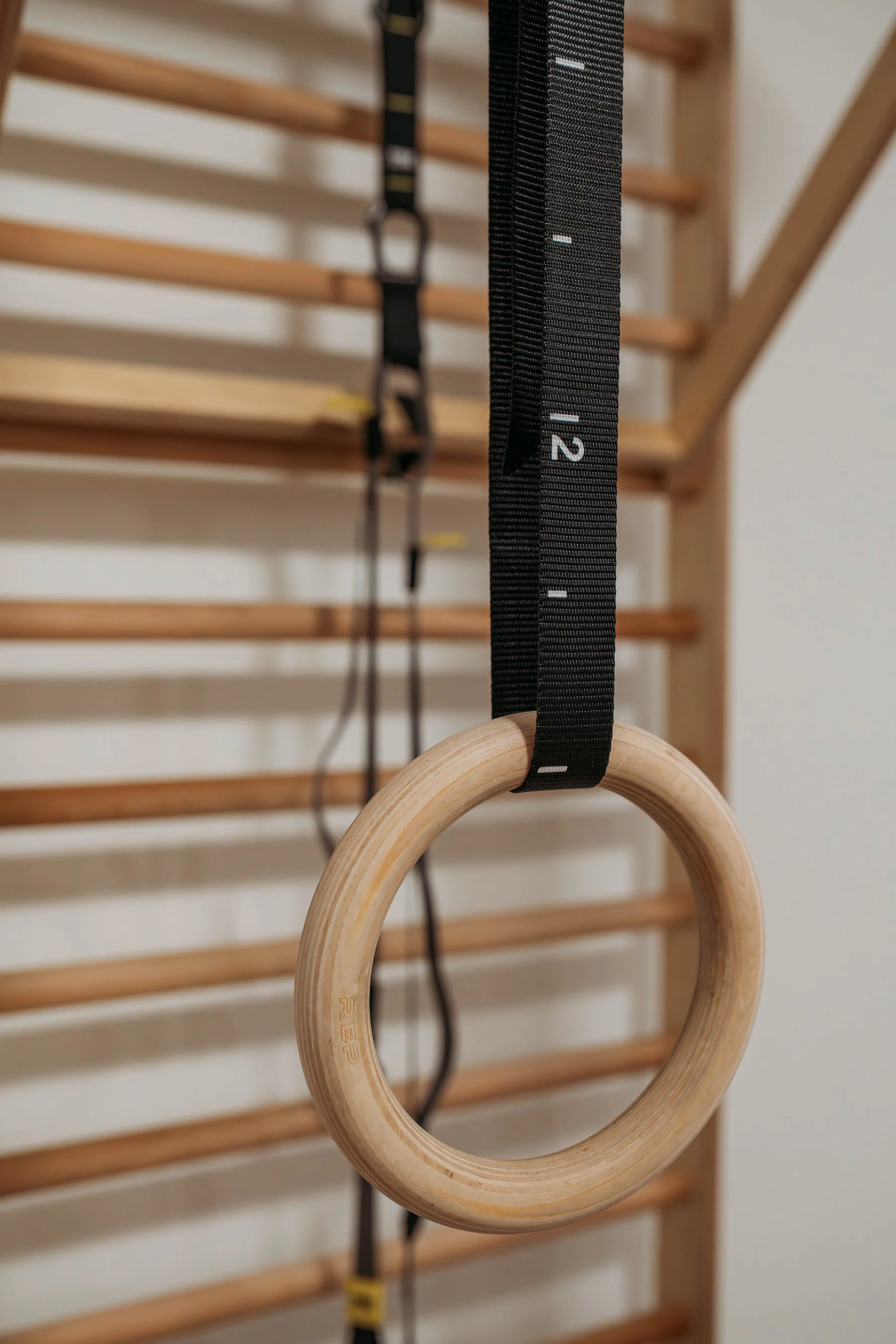 A wooden gymnastic ring hanging from a black strap, with a swedish ladder attached to a wooden wall in the background.