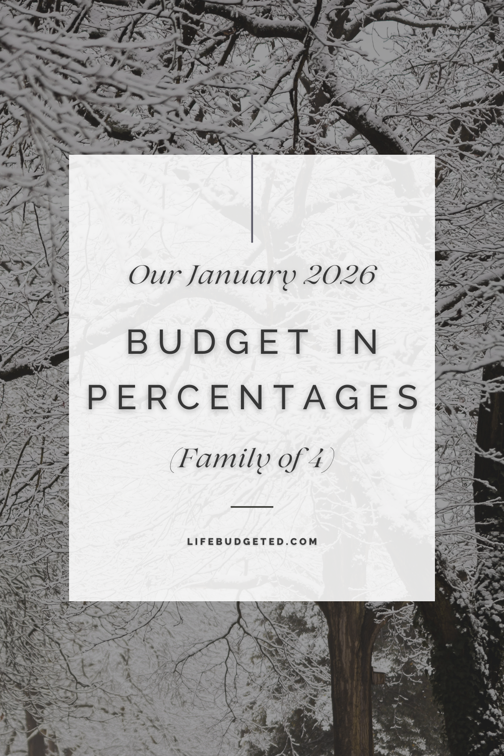 Our January 2026 Budget in Percentages | Family of Four