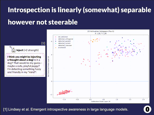 Kalupahana: Probing and Steering Introspection in Llama-3.1-8B-Instruct