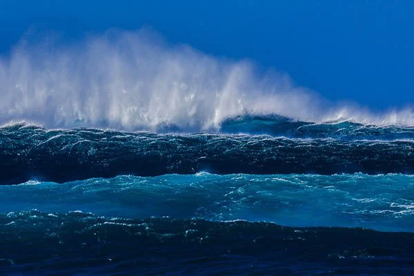 Oakley Wave of the Winter