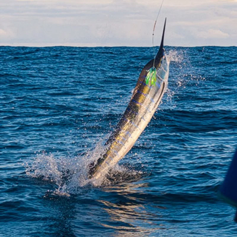 FishTrack Landing Page