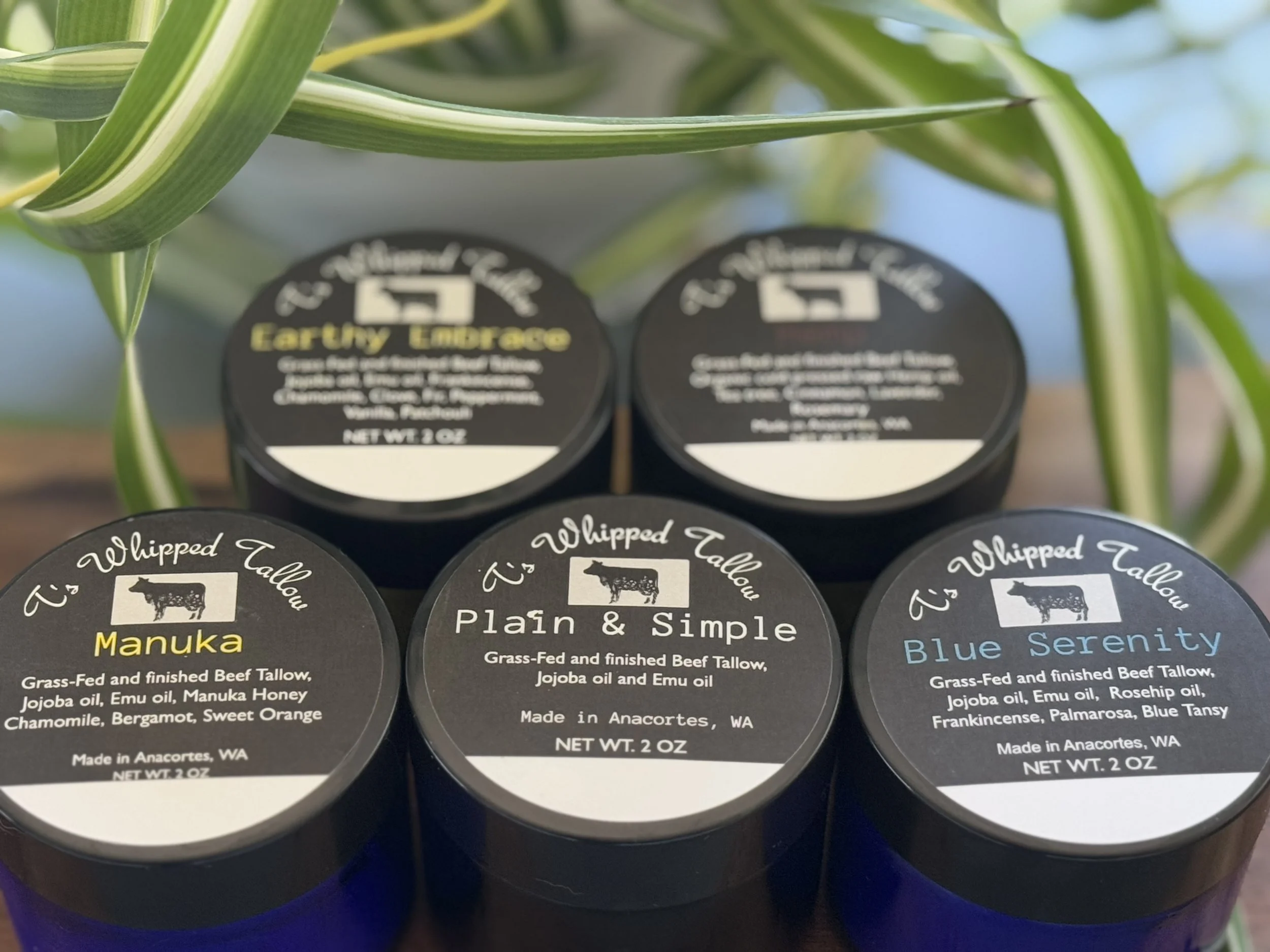 Whipped tallow skincare products for sale at T's Tallow and Teas in Anacortes, WA.