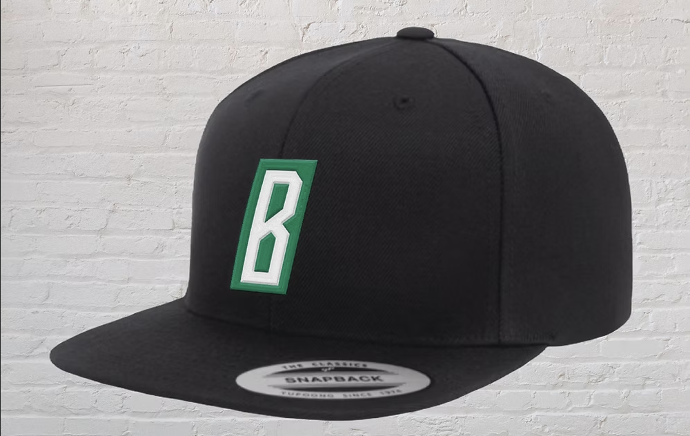 Badlands Snapback