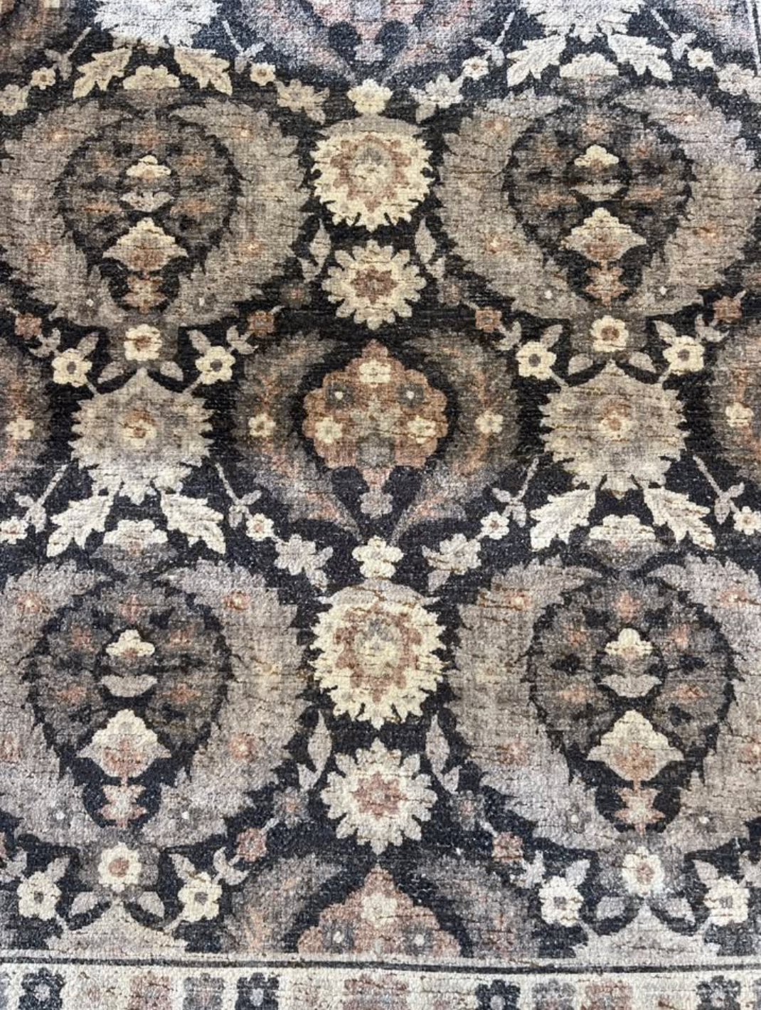 Image 1-13-26 at 11.41 PM.PNG