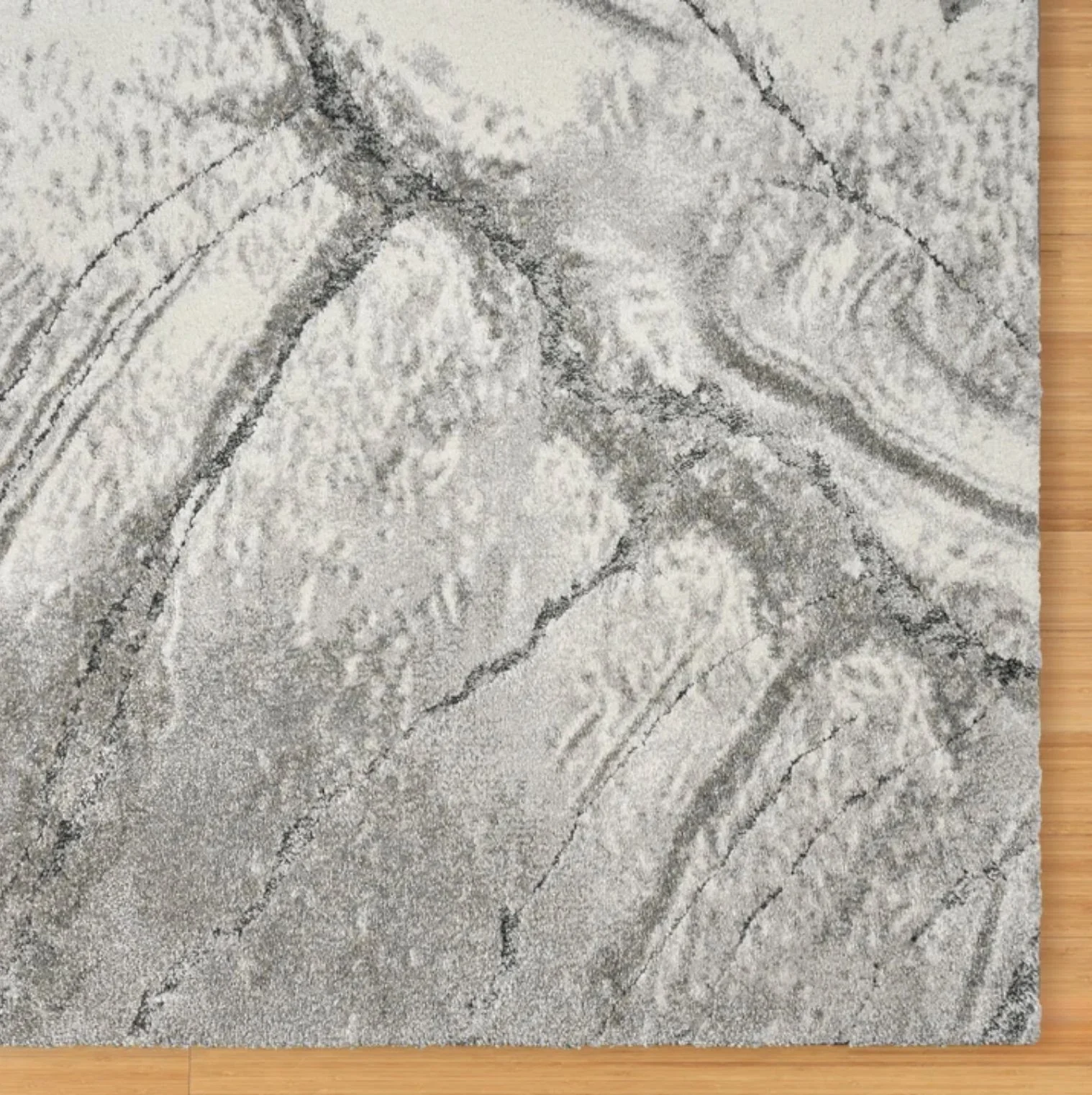 Image 1-21-26 at 4.10 PM.jpg